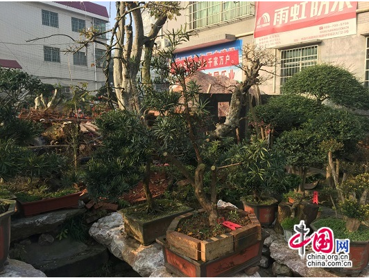 ������̶�ذ�ʯ�辰�黭����Э����Ƴ���