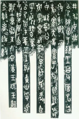图片31.png