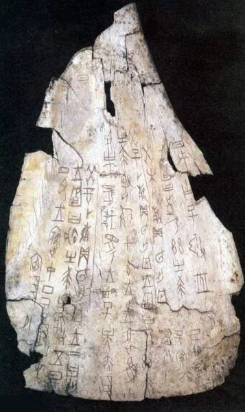 图片17.png