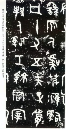 图片48.png