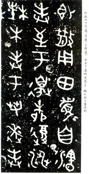 图片40.png