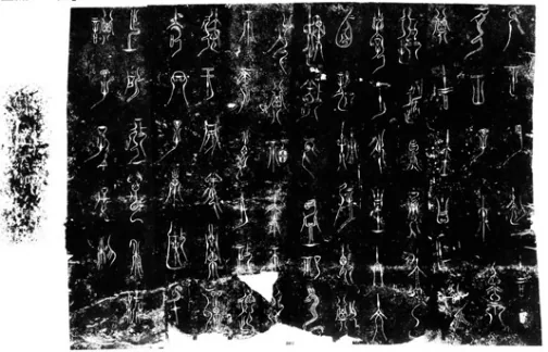 图片64.png