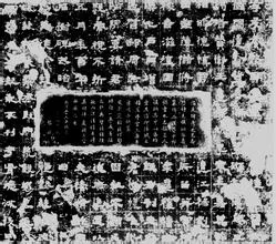图片8.png